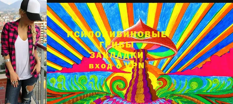 Псилоцибиновые грибы Magic Shrooms  Тюкалинск 